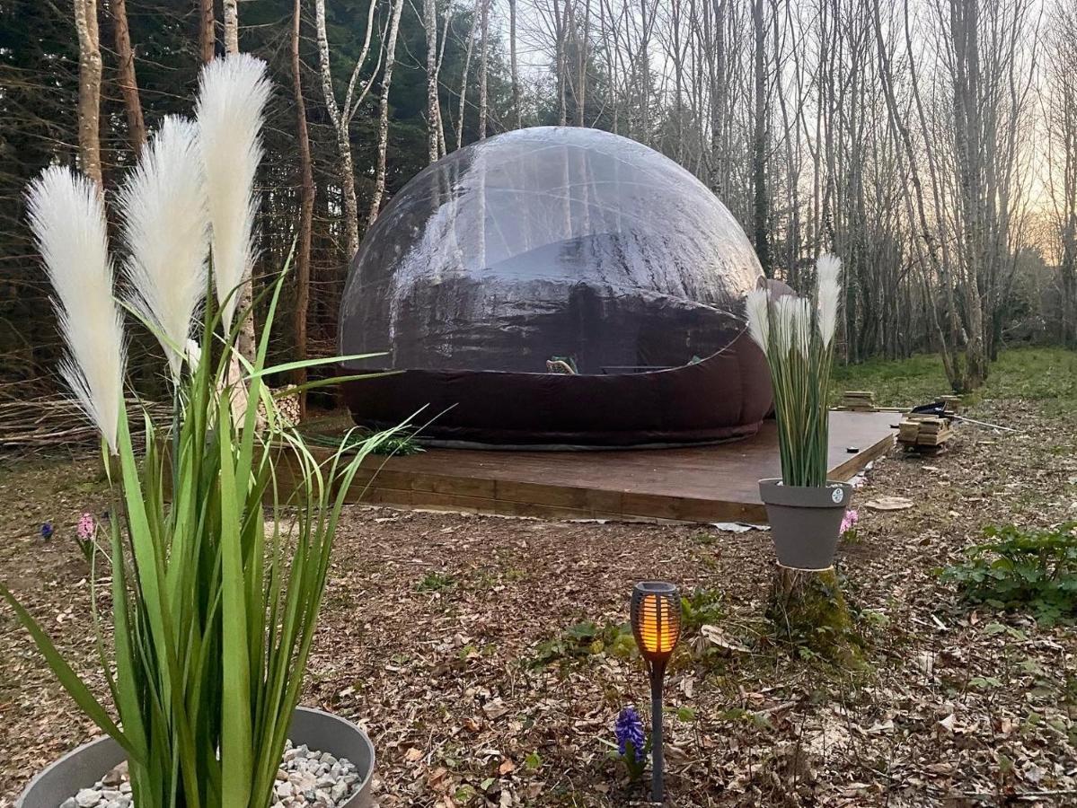 Logement Insolite "Bubble Jungle" Saint-Évarzec Exteriör bild