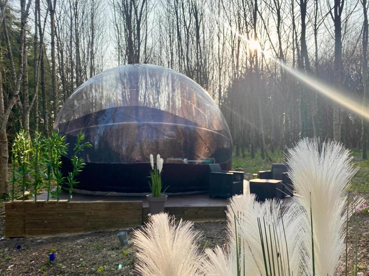 Logement Insolite "Bubble Jungle" Saint-Évarzec Exteriör bild