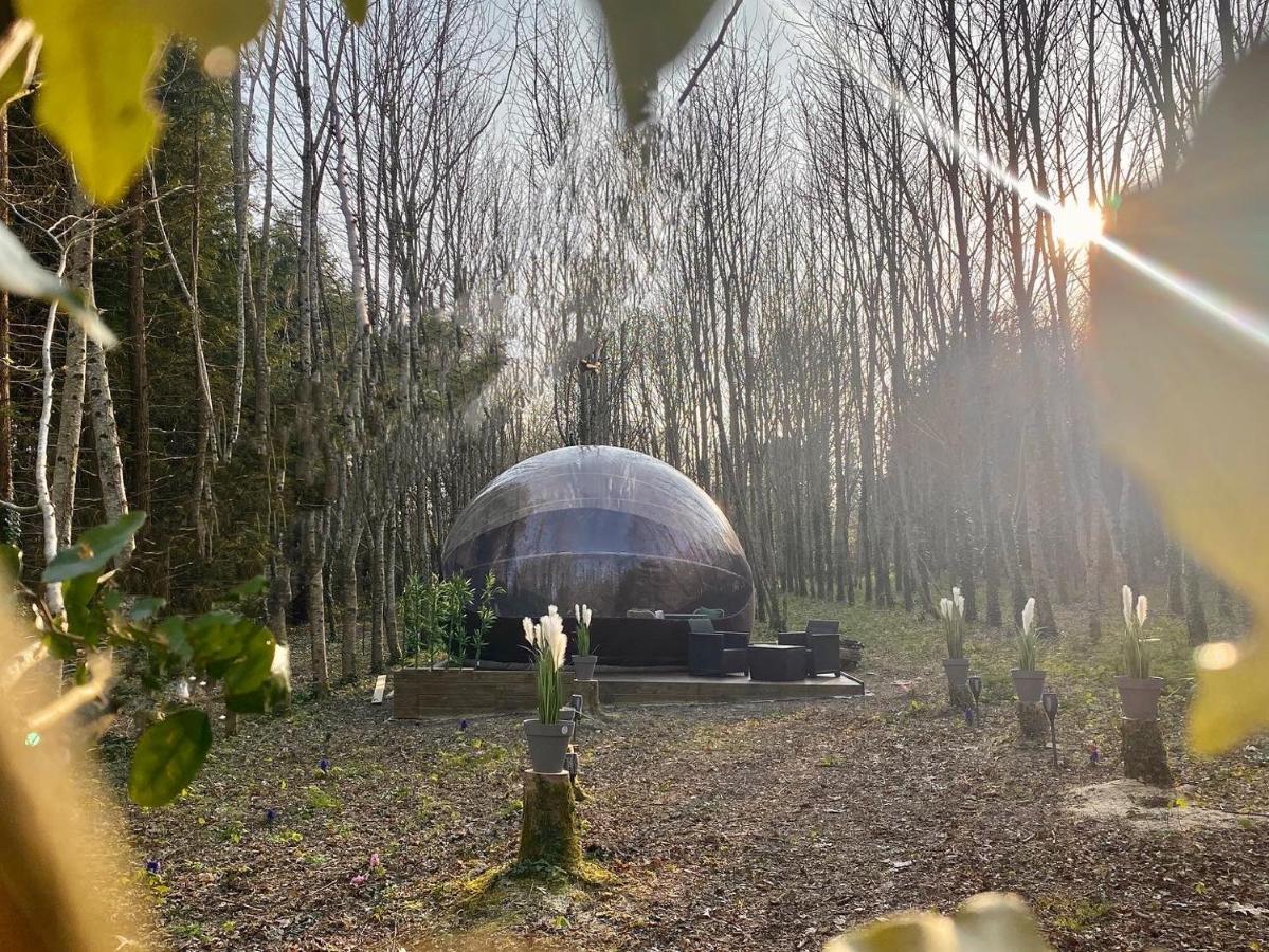 Logement Insolite "Bubble Jungle" Saint-Évarzec Exteriör bild