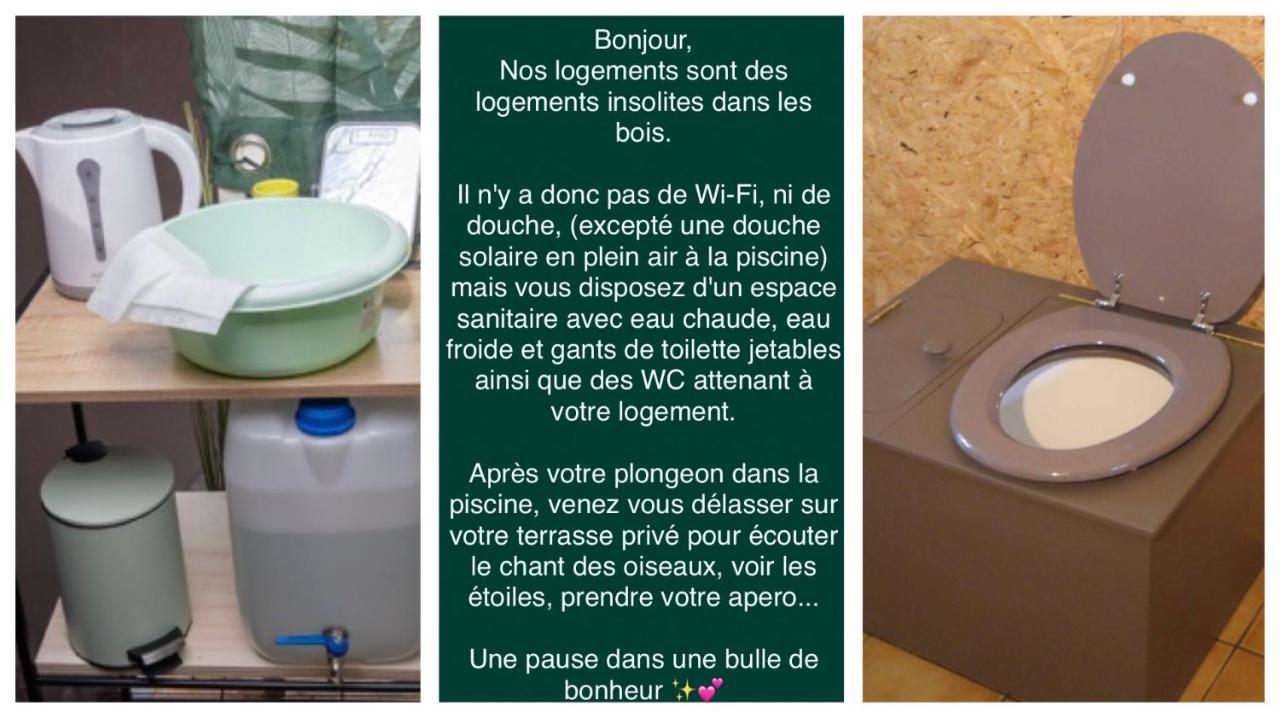 Logement Insolite "Bubble Jungle" Saint-Évarzec Exteriör bild